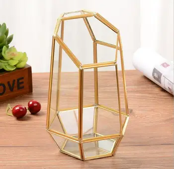 Irregular Clear Glass Metal Geometric Terrarium Box Plant Planter Pot Box Moss Fern Tabletop Decor
Irregular Clear Glass Metal Geometric Terrarium Box Plant Planter Pot Box Moss Fern Tabletop Decor