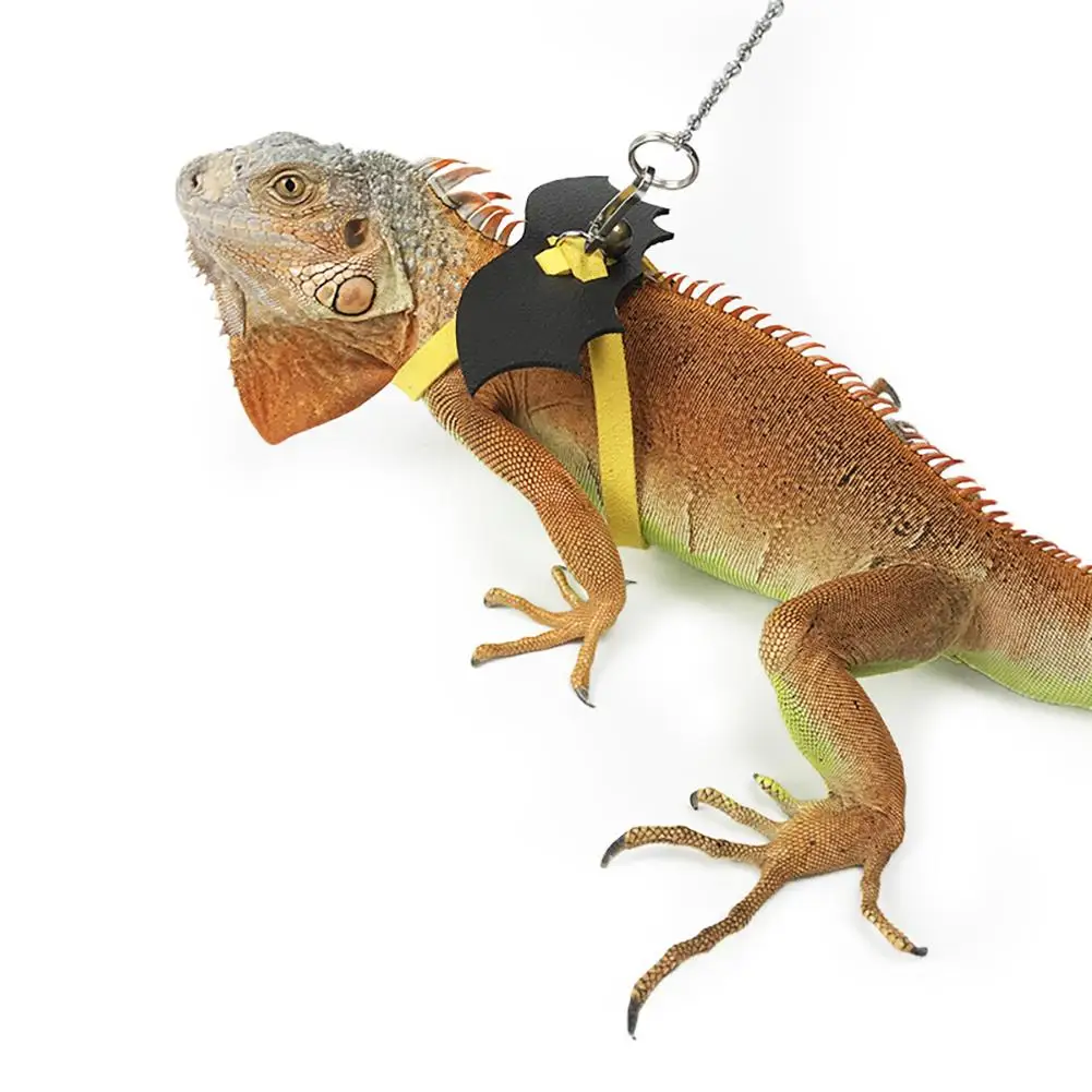 Lizard Harness Reptile Lizard Traction Rope For Lizard Bearded Dragon Iguanas Reptile Pet Outing Leash Belt
Lizard Harness Reptile Lizard Traction Rope For Lizard Bearded Dragon Iguanas Reptile Pet Outing Leash Belt