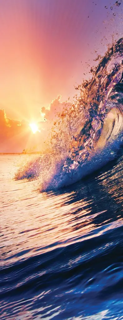 Wave 1