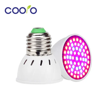 Full Spectrum Led Grow Light Bulbs E27 LED Plant Growing Lights Lamp for Plants Hydroponics System Vegetable Flower Greenhouse
Full Spectrum Led Grow Light Bulbs E27 LED Plant Growing Lights Lamp for Plants Hydroponics System Vegetable Flower Greenhouse