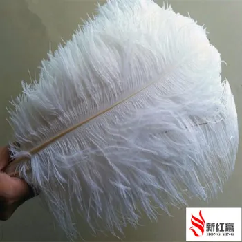 white ostrich feathers 60-65 cm / 23-25 inches 10pcs ostrich plumage artware performing wedding decoration
white ostrich feathers 60-65 cm / 23-25 inches 10pcs ostrich plumage artware performing wedding decoration