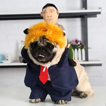 Pet Halloween Funny Cosplay Costume Dogs Small Puppy Standing Person on Back with Yellow Hair
Pet Halloween Funny Cosplay Costume Dogs Small Puppy Standing Person on Back with Yellow Hair