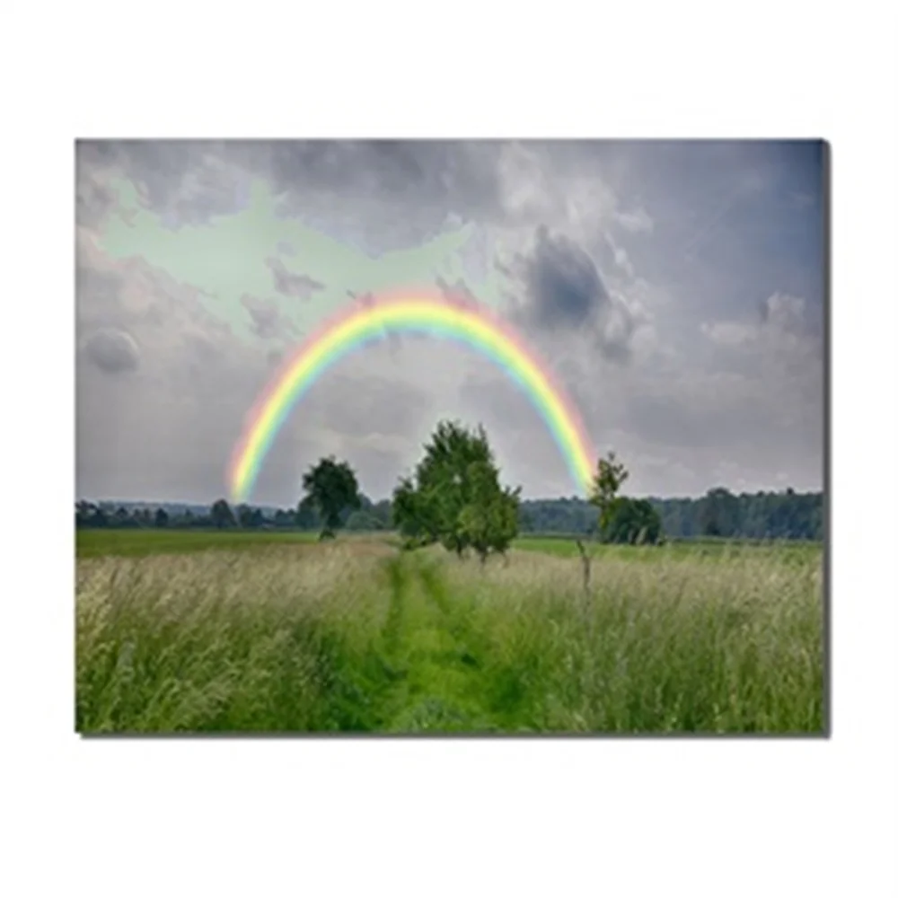 Natural Scenery Rainbow Green Trees Grassland Blue Sky Canvas Oil Paintings Home Decoration Living Room Wall Art Prints Posters
Natural Scenery Rainbow Green Trees Grassland Blue Sky Canvas Oil Paintings Home Decoration Living Room Wall Art Prints Posters