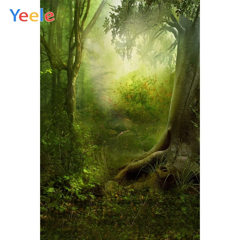Yeele Fairytale Forest Trees Scene Baby Children Photography Backgrounds Customized Photographic Backdrops For Photo Studio
Yeele Fairytale Forest Trees Scene Baby Children Photography Backgrounds Customized Photographic Backdrops For Photo Studio