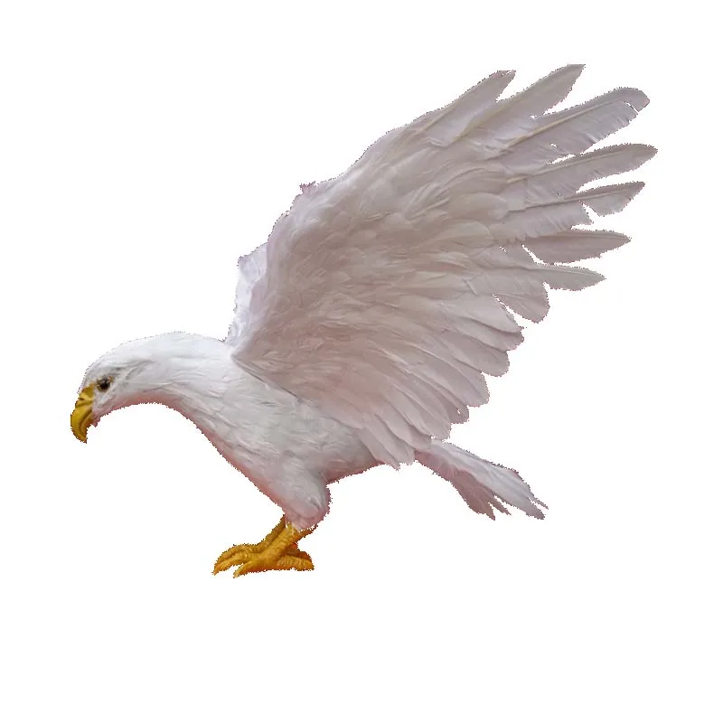 Белый Летающий искусственный Орел, свадьба, сад, Grand, событие, фотография, день рождения, DIY Декор, косплей, костюм вдовы 
Белый Летающий искусственный Орел, свадьба, сад, Grand, событие, фотография, день рождения, DIY Декор, косплей, костюм вдовы