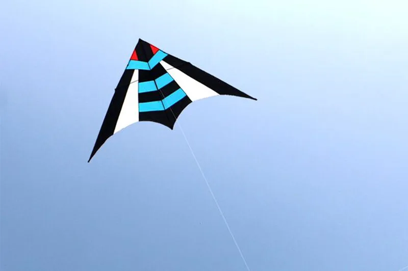006