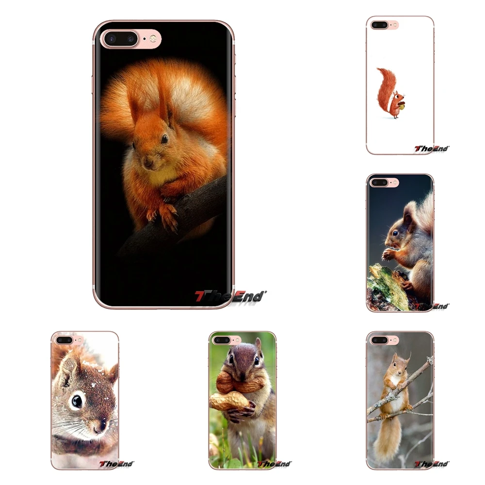 Чехлы из ТПУ с красной белкой Sciurus vulgaris для HTC One U11 U12 X9 M7 M8 A9 M10 E9 Plus Desire 630 530 626 628 816 820
