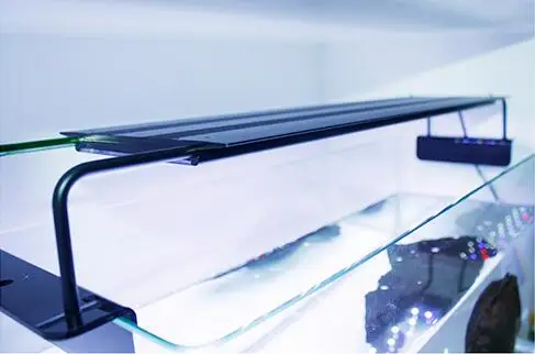 Nemo Light Aqua Marine Coral Reef Aquarium Fish Tank Control LED Light 54W LED lamp specially used for tropical fish
Nemo Light Aqua Marine Coral Reef Aquarium Fish Tank Control LED Light 54W LED lamp specially used for tropical fish