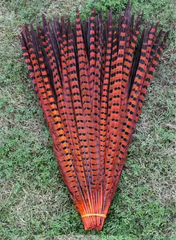 free delivery! 50pcs18-20 inch / 45-50cm high quality orange pheasant feathers, stage feathers decoration
free delivery! 50pcs18-20 inch / 45-50cm high quality orange pheasant feathers, stage feathers decoration