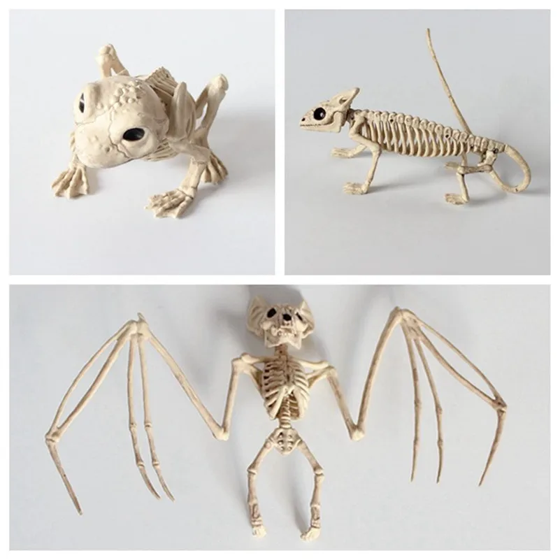 Halloween Skeleton animal 100% Plastic Animal Skeleton Bones Horror Halloween Christmas Prop animal Crow Skeleton Decoration
Halloween Skeleton animal 100% Plastic Animal Skeleton Bones Horror Halloween Christmas Prop animal Crow Skeleton Decoration