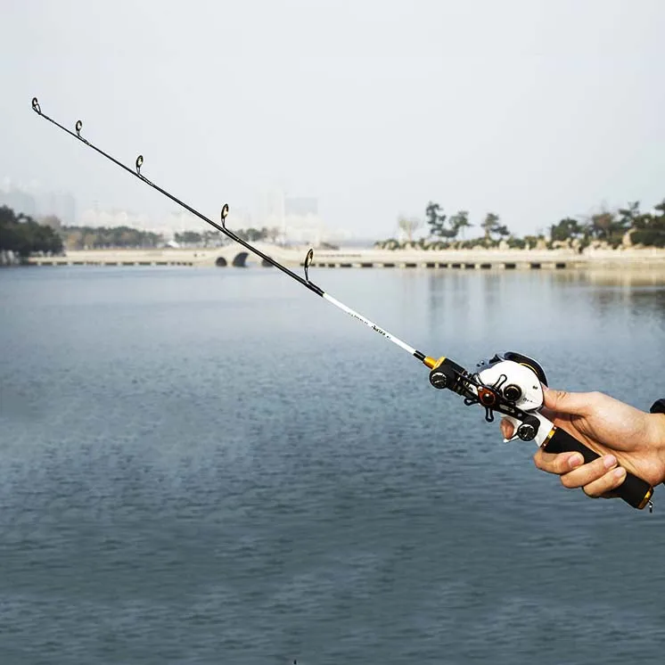 ROSEWOOD 60cm 80cm Medium Action Portable Shrimp Winter Ice Fishing Rod Fish Tackle Pole Ultralight Mini Rod Fishing Accessories
ROSEWOOD 60cm 80cm Medium Action Portable Shrimp Winter Ice Fishing Rod Fish Tackle Pole Ultralight Mini Rod Fishing Accessories