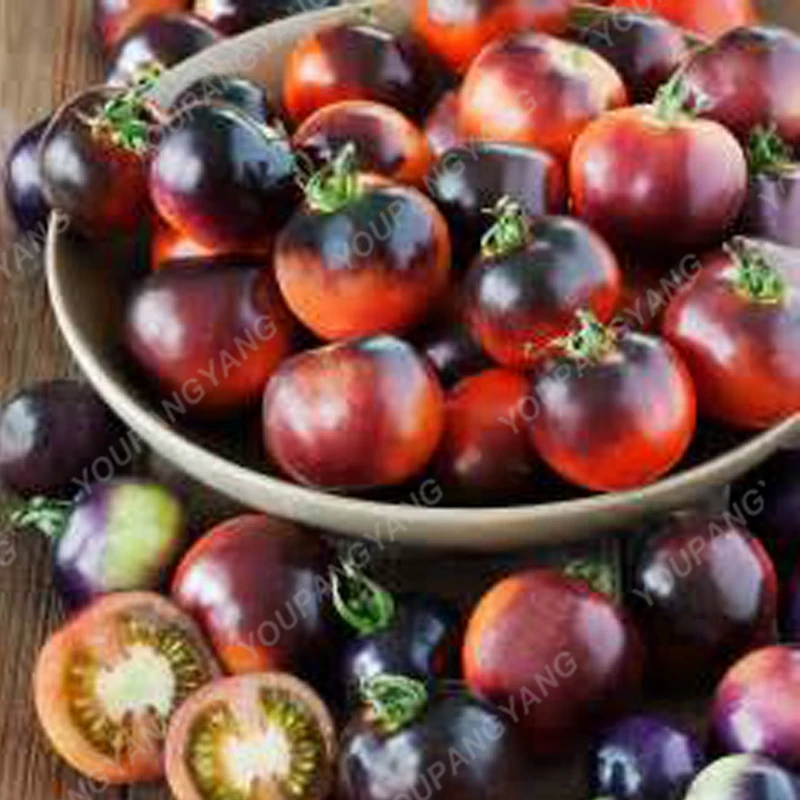 200pcs HOT SALE Rare Organic Black Tomato plants Chinese Home & Garden Vegetable Fruit Plants Free shipping High Germination Rat
200pcs HOT SALE Rare Organic Black Tomato plants Chinese Home & Garden Vegetable Fruit Plants Free shipping High Germination Rat