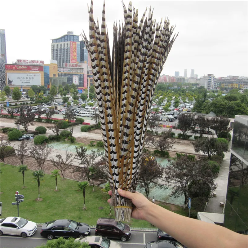 wholesale 50Pcs 90-100cm/long Natural Pheasant Tail Feathers Wedding Decorations High Quality Rare Reeves Pheasant Feather plume
wholesale 50Pcs 90-100cm/long Natural Pheasant Tail Feathers Wedding Decorations High Quality Rare Reeves Pheasant Feather plume