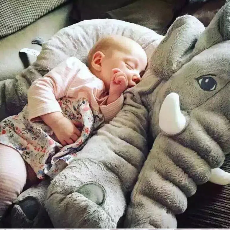 40cm Infant Plush Elephant Soft Appease Elephant Stuffed Animals Plush Doll Play Elephant Educational Anti-stress Stuffed Doll
40cm Infant Plush Elephant Soft Appease Elephant Stuffed Animals Plush Doll Play Elephant Educational Anti-stress Stuffed Doll