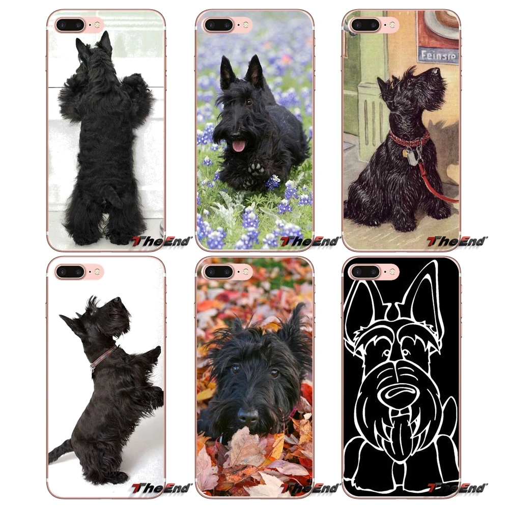 Fashion Case Black Scottish Terrier Dog Puppy For HTC U11 One M7 M8 A9 M9 M10 E9 Desire 630 530 626 628 816 820 Motorola G G2 G3
Fashion Case Black Scottish Terrier Dog Puppy For HTC U11 One M7 M8 A9 M9 M10 E9 Desire 630 530 626 628 816 820 Motorola G G2 G3