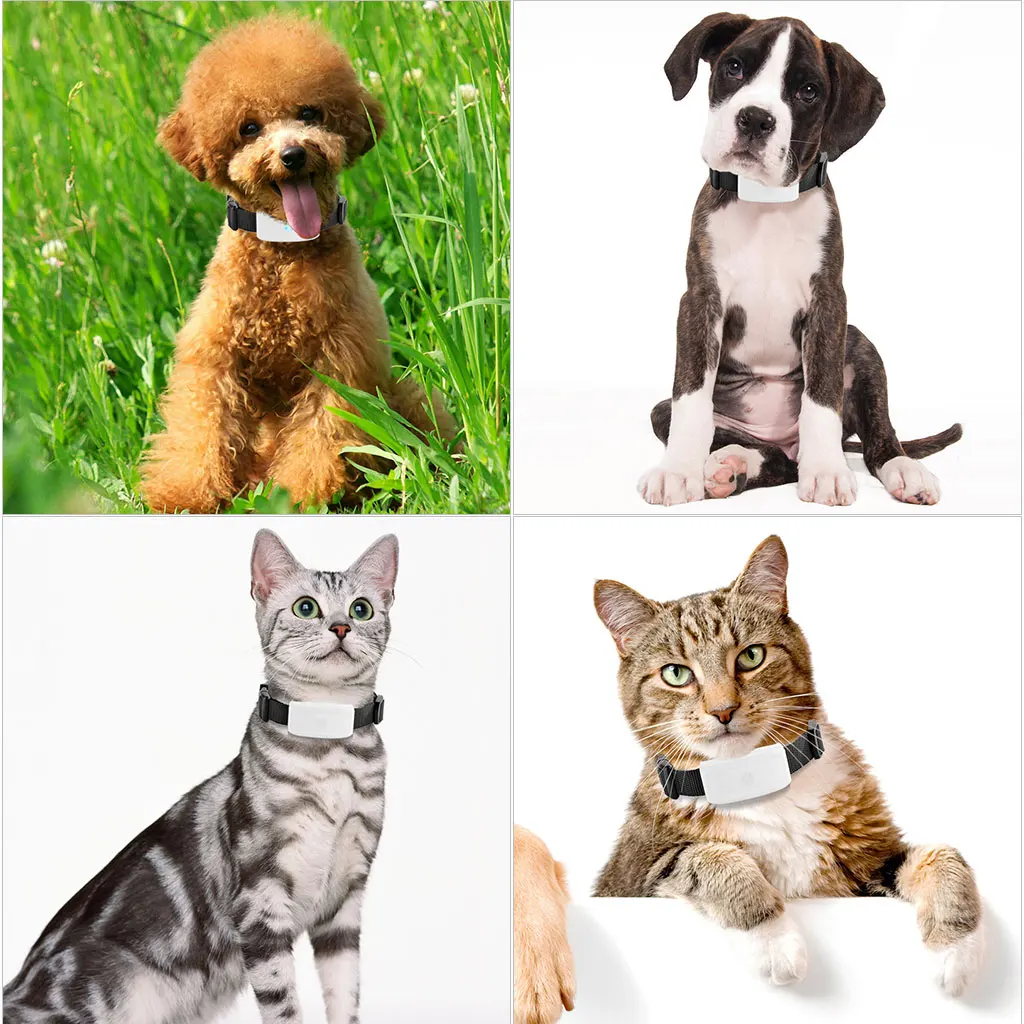 bartun gps pet tracker