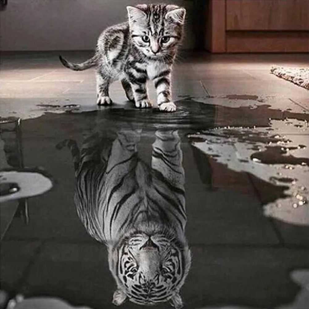 Cat and Tiger DIY 5D Diamond Embroidery Painting Cross Stitch Home Decor Craft diamond painting 12.31
Cat and Tiger DIY 5D Diamond Embroidery Painting Cross Stitch Home Decor Craft diamond painting 12.31