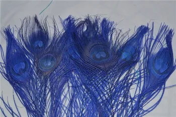 100pcs 10-12inch royal blue peacock eye feather peacock tail feather for weddings decor party event design
100pcs 10-12inch royal blue peacock eye feather peacock tail feather for weddings decor party event design