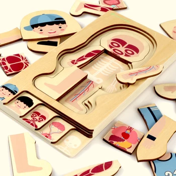 Montessori Educational Children Toys Wooden Human Body Puzzle Boys Girls Body Structure Children Puzzles Kids Toys
Montessori Educational Children Toys Wooden Human Body Puzzle Boys Girls Body Structure Children Puzzles Kids Toys
