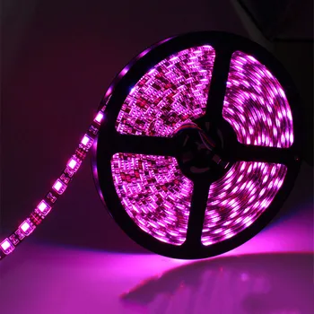 LED Strip Light SMD5050 RGB 300 Leds Lightings Waterproof IP65 DC12V Flexible LED Car Light Tape Ribbon Led Backlighting
LED Strip Light SMD5050 RGB 300 Leds Lightings Waterproof IP65 DC12V Flexible LED Car Light Tape Ribbon Led Backlighting
