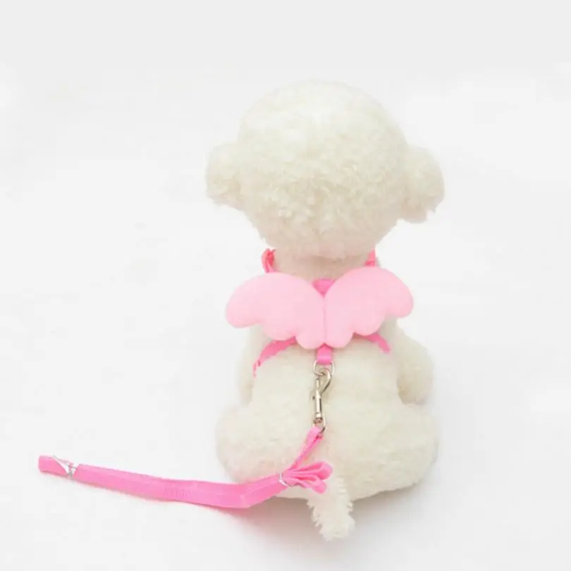 1PCS Cute Angel Puppy Cat Pet Dog Buckle Dogs Leads Neck Strap and Collars Set Animal Pet Accessories Small Pet Wing Adjustable
1PCS Cute Angel Puppy Cat Pet Dog Buckle Dogs Leads Neck Strap and Collars Set Animal Pet Accessories Small Pet Wing Adjustable