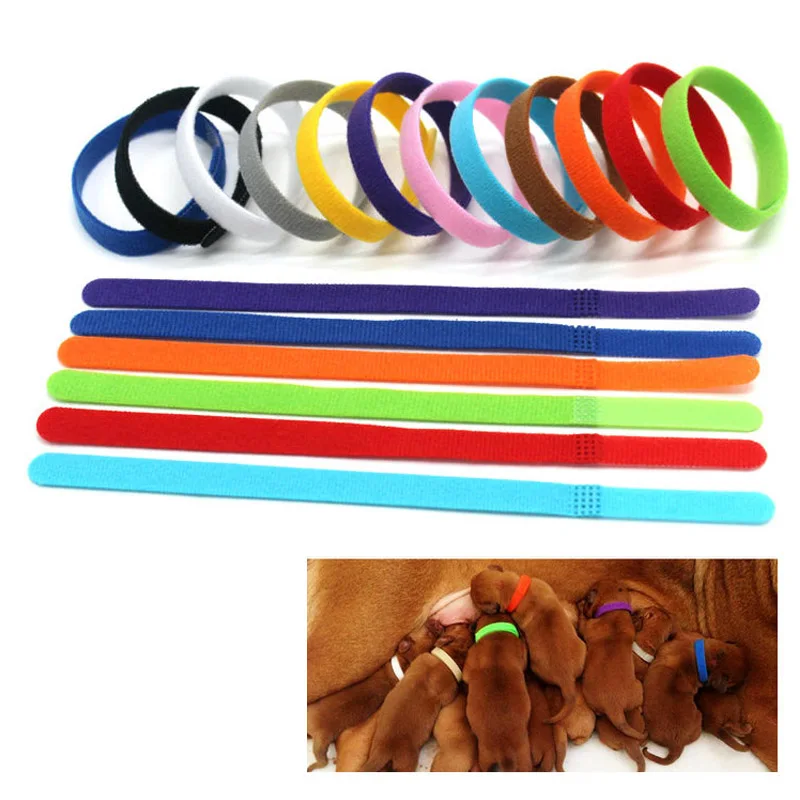 Pet Supplies Dog Collar Adhesive Fastener Tape 12 Color Dog ID Tag Collar Accessories Soft Material Nylon Pet Cat Puppy Dog
Pet Supplies Dog Collar Adhesive Fastener Tape 12 Color Dog ID Tag Collar Accessories Soft Material Nylon Pet Cat Puppy Dog