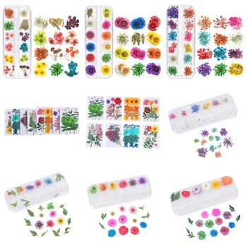 1bag Dried Flowers Leaf Natural Floral Sticker 3D Dried Flower Nail Decoration Jewelry UV Gel DIY Filling Jewelry
1bag Dried Flowers Leaf Natural Floral Sticker 3D Dried Flower Nail Decoration Jewelry UV Gel DIY Filling Jewelry
