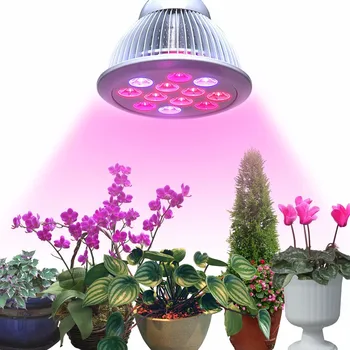 MUQGEW Grow light E27 lamp Bulb for medical Hot Sell Drop Shipping 2017 Newest Effectiveflower veg plant 12w Full spectrum LED
MUQGEW Grow light E27 lamp Bulb for medical Hot Sell Drop Shipping 2017 Newest Effectiveflower veg plant 12w Full spectrum LED