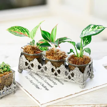 European Wrought Iron Flower Pot Classical Glass Succulent Plant Pot Water Culture Vase Desktop Ornaments Home Decoration
European Wrought Iron Flower Pot Classical Glass Succulent Plant Pot Water Culture Vase Desktop Ornaments Home Decoration