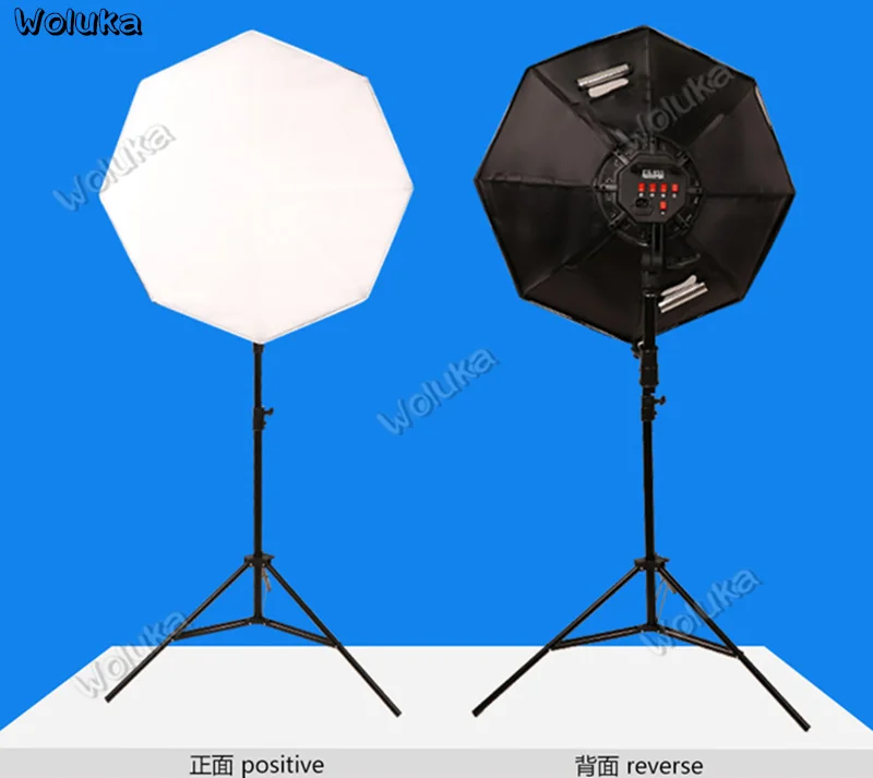36020190125133534520