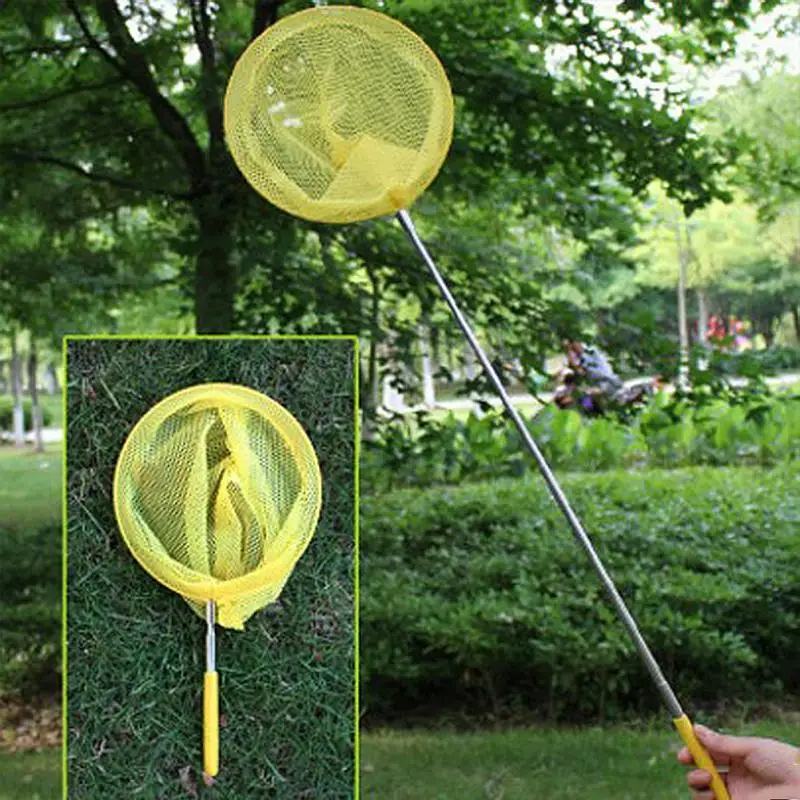 Retractable Insect Bugs Catching Fish Net Butterfly Net Colored Kids Toy Shrimp fishing toy for children
Retractable Insect Bugs Catching Fish Net Butterfly Net Colored Kids Toy Shrimp fishing toy for children