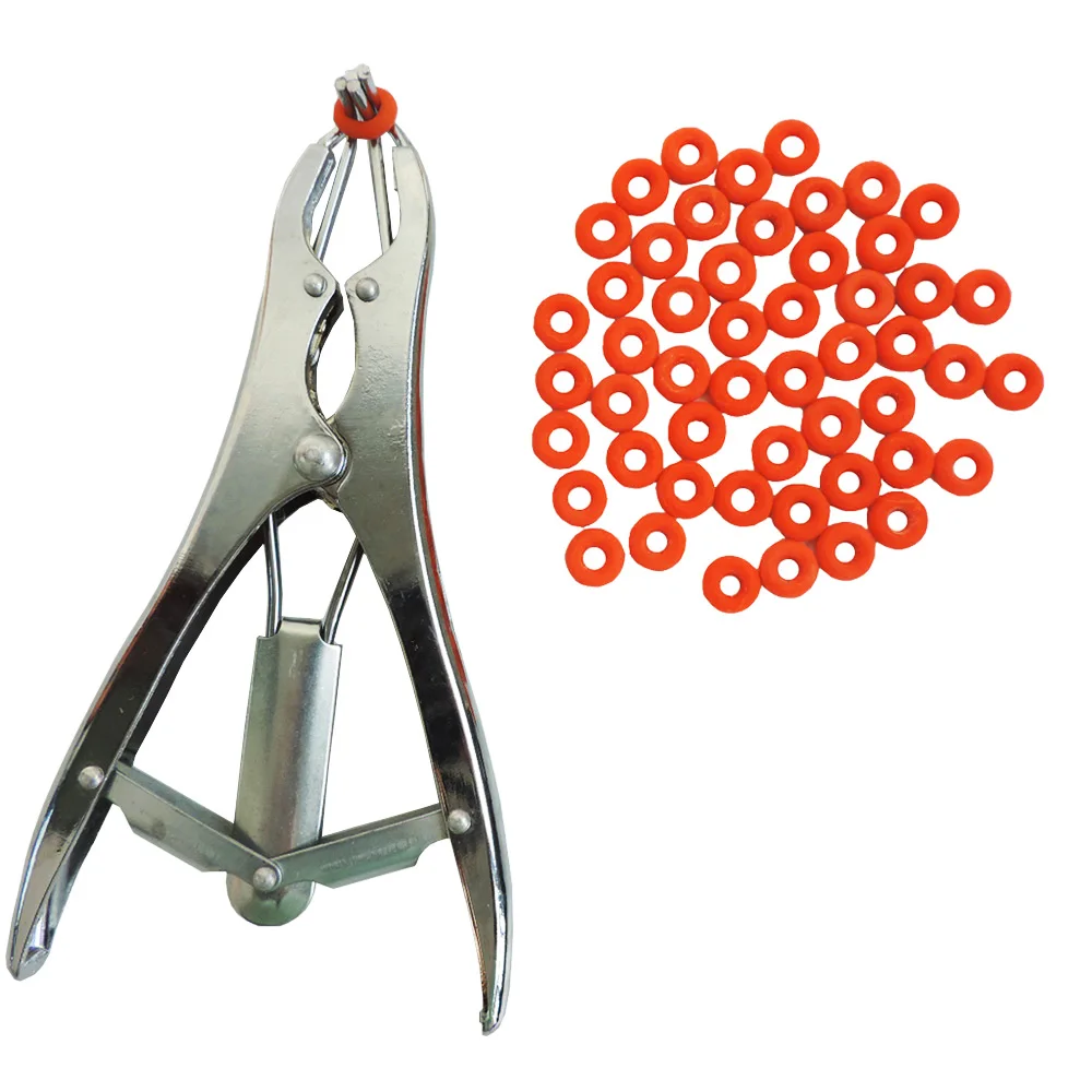 Piglets Sheep Tail Docking Clamp Bloodless Castration Pliers And 100 PCS Particulate Rubber Ring Livestock Castration Device
Piglets Sheep Tail Docking Clamp Bloodless Castration Pliers And 100 PCS Particulate Rubber Ring Livestock Castration Device