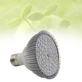 LED Plant Grow Light Efficient Hydroponic Full Spectrum Growing Lamp 25W Light Bulb E27 Growing Lamps For Garden Flower Plant
LED Plant Grow Light Efficient Hydroponic Full Spectrum Growing Lamp 25W Light Bulb E27 Growing Lamps For Garden Flower Plant