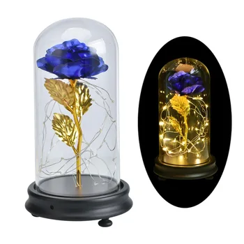 Valentine's Day 24K Foil Plated Rose Gold Rose Glass Cover for Lover LED Light String Bottle Wedding Party Home Desktop Decor
Valentine's Day 24K Foil Plated Rose Gold Rose Glass Cover for Lover LED Light String Bottle Wedding Party Home Desktop Decor
