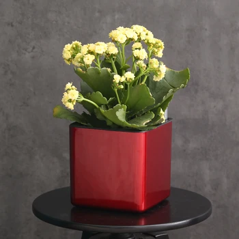 Six colour Margic square lazy self absorption water creative personalized paint porcelain plastic flower pot for graden plant
Six colour Margic square lazy self absorption water creative personalized paint porcelain plastic flower pot for graden plant