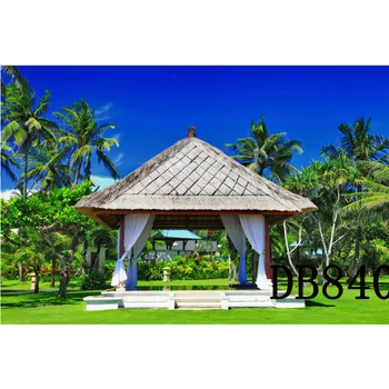 LB Polyester & Vinyl Tropical Scenery Coconut Trees Leisure Pavilion Photography Photo Background Studio Backdrop Decoration
LB Polyester & Vinyl Tropical Scenery Coconut Trees Leisure Pavilion Photography Photo Background Studio Backdrop Decoration
