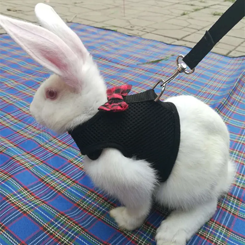 New Black rabbit Leash Lead Vest small animals Mesh cotton collars cat Hamster Red harnesses SML Harness Leash Pet Strap GPD8647
New Black rabbit Leash Lead Vest small animals Mesh cotton collars cat Hamster Red harnesses SML Harness Leash Pet Strap GPD8647