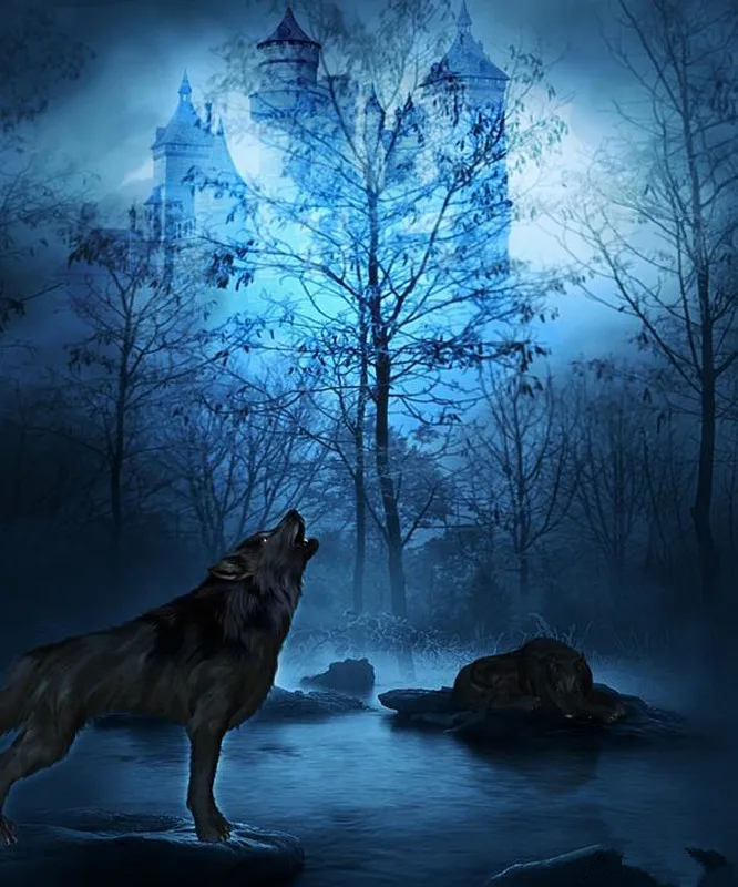 wolf-castle-night-paint-with-diamonds_430_1024x1024@2x_