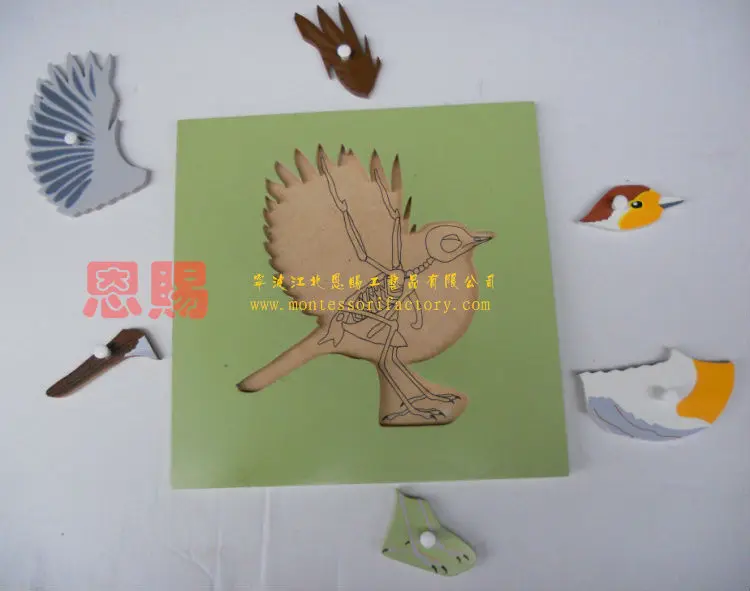 new bird puzzle with skeleton montessori materials educational toys toys classic baby kids early learning educational wood 7010
new bird puzzle with skeleton montessori materials educational toys toys classic baby kids early learning educational wood 7010