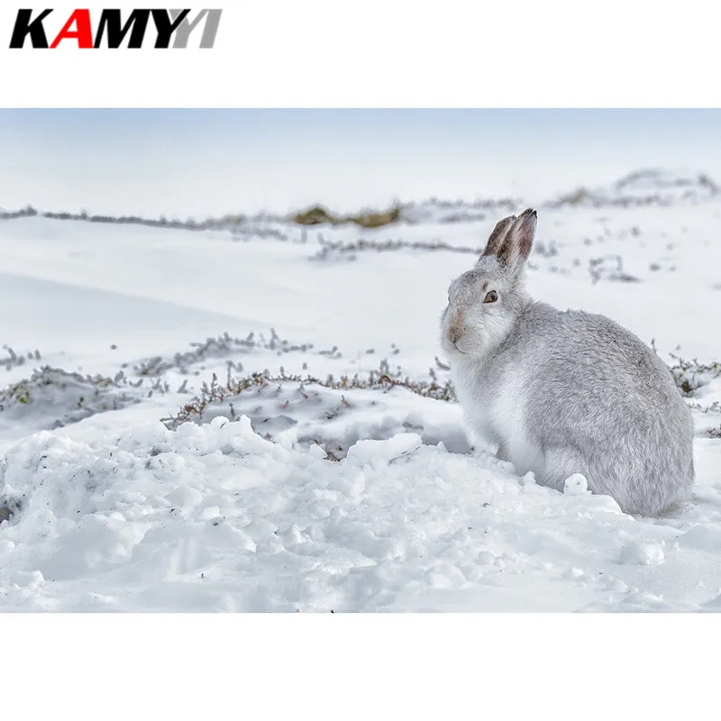Full Square Diamond embroidery Full Diamond mosaic DIY 3D Diamond painting Cross stitch Rabbit in the snow
Full Square Diamond embroidery Full Diamond mosaic DIY 3D Diamond painting Cross stitch Rabbit in the snow