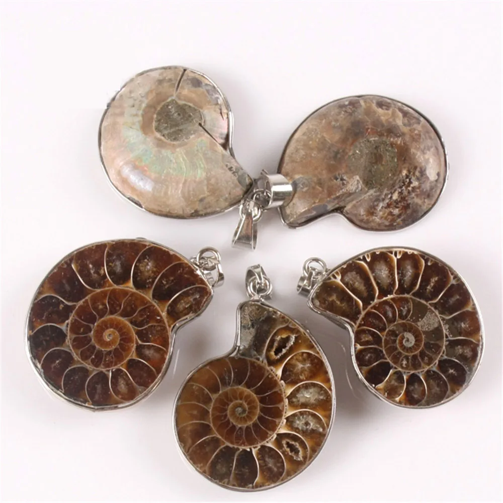 12pcs Natural Ammonite Conch Shell Pendant Bead Exquisite Handmade Chrysanthemum Snail Stone Pendant For Necklace Men Women
12pcs Natural Ammonite Conch Shell Pendant Bead Exquisite Handmade Chrysanthemum Snail Stone Pendant For Necklace Men Women