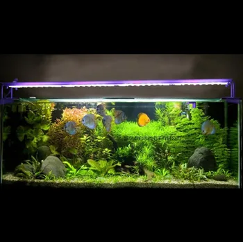 Programmable 96W big Led Aquarium light Dimmable acuario lamp for Reef Coral fish tank aquario lampe EU US AU UK Plug
Programmable 96W big Led Aquarium light Dimmable acuario lamp for Reef Coral fish tank aquario lampe EU US AU UK Plug