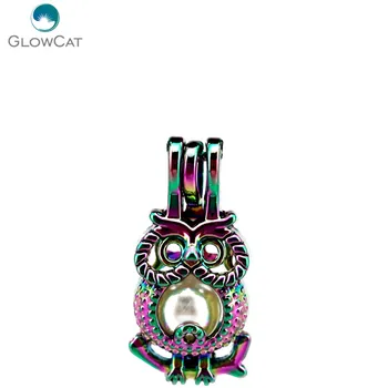 C722 5pcs/lot COLORS Multicolor Owl Pearl Beads Cage Locket Pendant Pearl Locket Fairytale Party
C722 5pcs/lot COLORS Multicolor Owl Pearl Beads Cage Locket Pendant Pearl Locket Fairytale Party