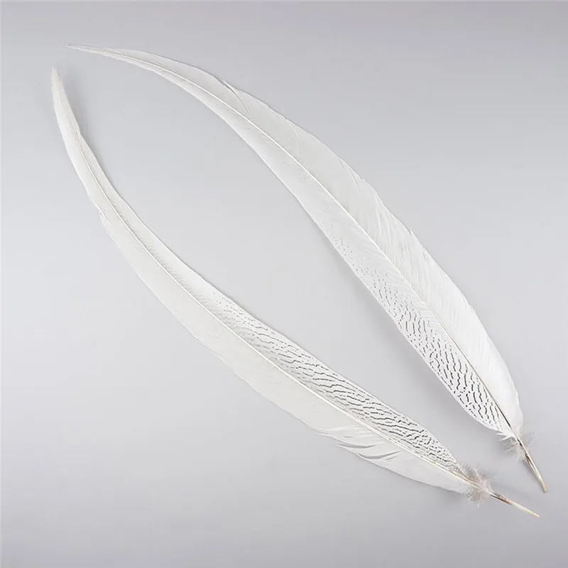 natural-silver-pheasant-feather-tail-spxl--n-alt2
