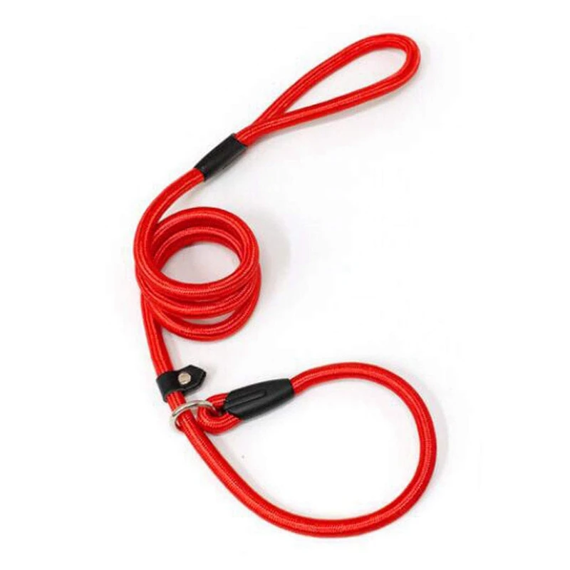 Comfortable Nylon Cat Dog Collar Leash for Outdoor Walking Adjustable Lead Strap Collar Nylon Leash Rope for Pet Dog Travel
Comfortable Nylon Cat Dog Collar Leash for Outdoor Walking Adjustable Lead Strap Collar Nylon Leash Rope for Pet Dog Travel