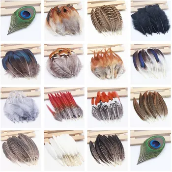 15Pcs/Lot High quality Natural Pheasant Feathers Chicken Feather Plume Diy jewelry Campanula Dance clothing Decorative
15Pcs/Lot High quality Natural Pheasant Feathers Chicken Feather Plume Diy jewelry Campanula Dance clothing Decorative