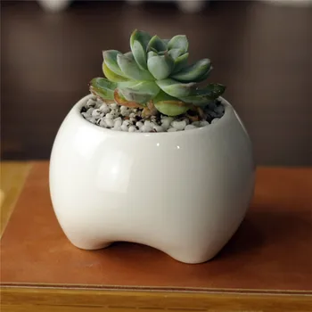 Simple creative White Mini Ceramic teeth shape cute feet Zakka desktop small fleshy flower pot planter container garden bonsai
Simple creative White Mini Ceramic teeth shape cute feet Zakka desktop small fleshy flower pot planter container garden bonsai