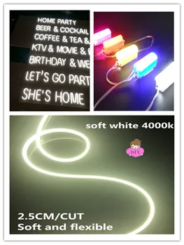12V led silicone DIY led sign words Neon Light IP68 waterproof Flexible LED Article lame cool white living room light Strip 50cm
12V led silicone DIY led sign words Neon Light IP68 waterproof Flexible LED Article lame cool white living room light Strip 50cm