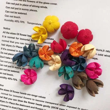 2CM/50PCS Real Nature Dry Flower Pistachio Nuts,Decorative Mini Happy Fruit,Dried Cross Plant Fruits flower Nutshell For Wedding
2CM/50PCS Real Nature Dry Flower Pistachio Nuts,Decorative Mini Happy Fruit,Dried Cross Plant Fruits flower Nutshell For Wedding