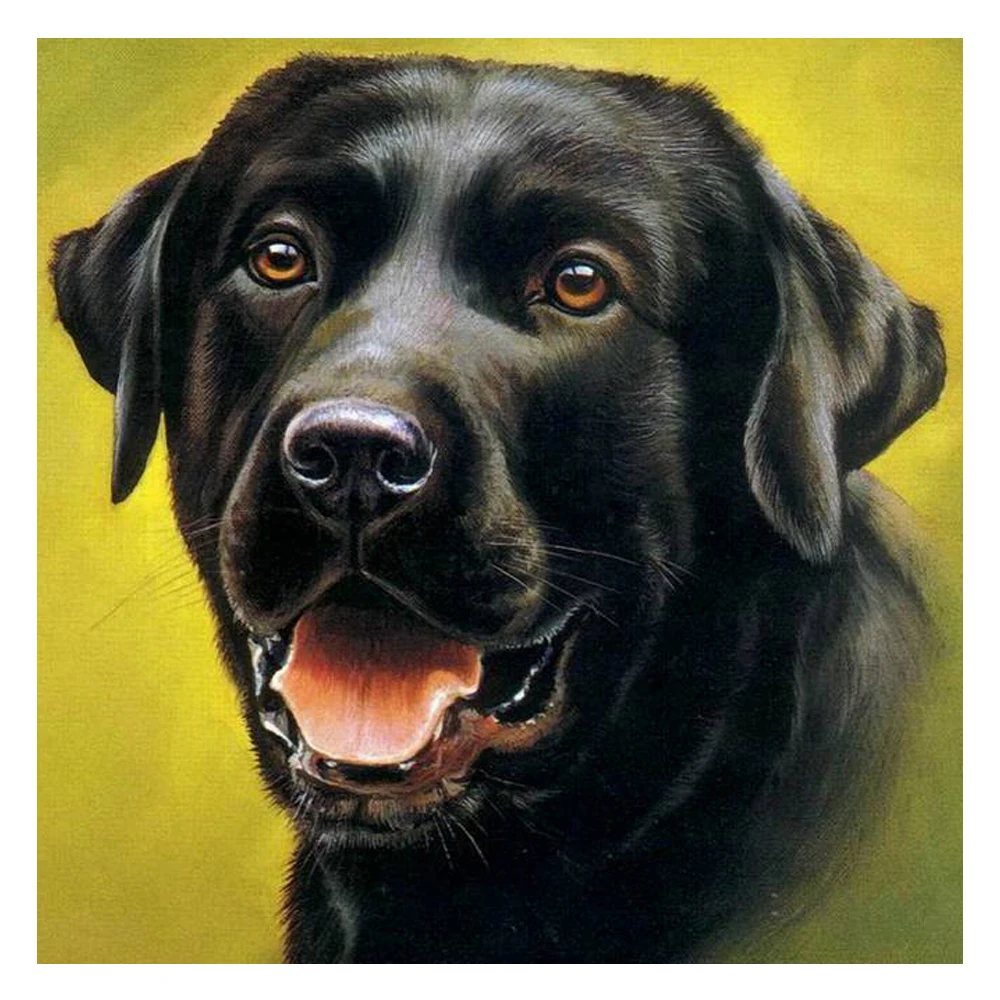 5D DIY Diamond Painting Animal Diamond Embroidery pet Black Dog Labrador Rhinestone Painting Mosaic Pictures Home Decor R1327
5D DIY Diamond Painting Animal Diamond Embroidery pet Black Dog Labrador Rhinestone Painting Mosaic Pictures Home Decor R1327